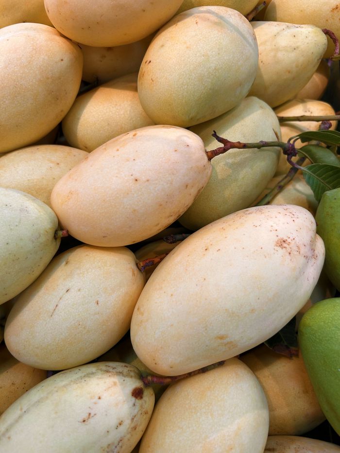 A vibrant close-up of ripe mangoes piled together showcasing their natural colors and textures.