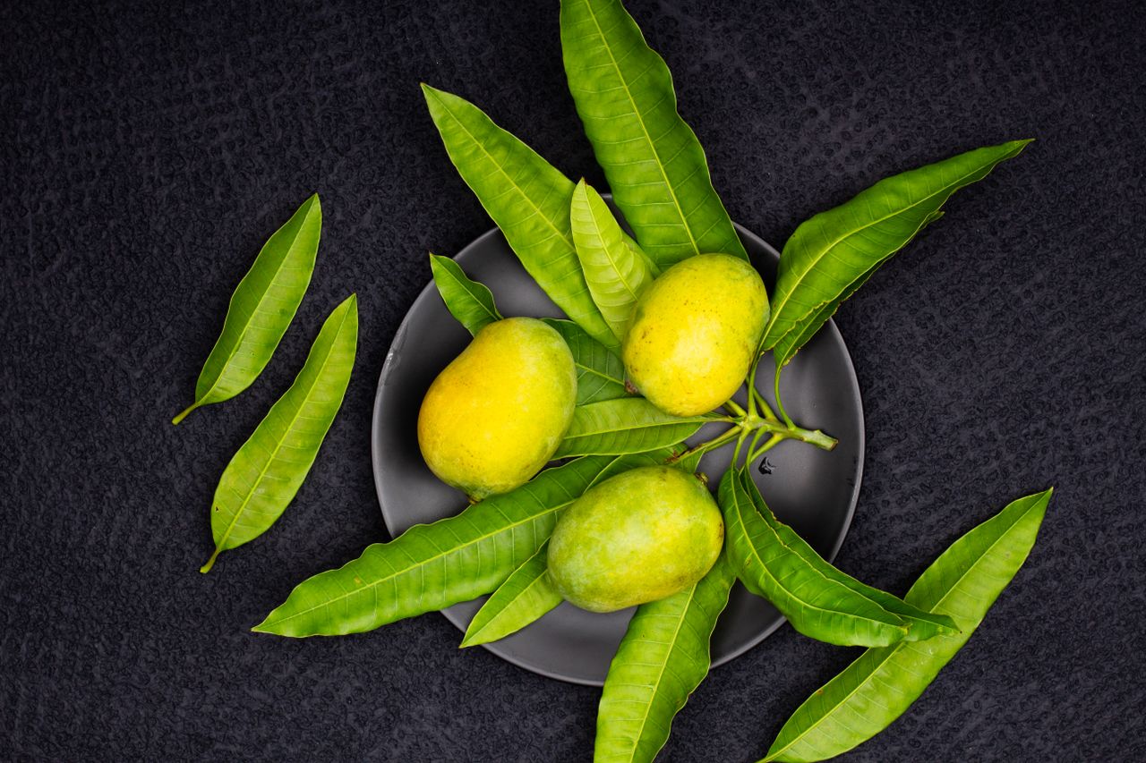 Crafting Captivating Headlines: Your awesome post title goes here Top view of fresh green mangoes with vibrant leaves on a dark textured background.